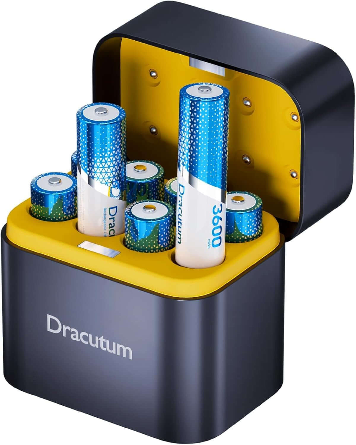 Rechargeable AA batteries stored in a stylish charging case for everyday devices.